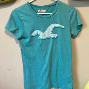 Hollister T